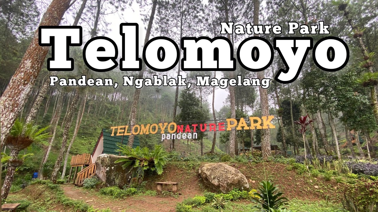 Telomoyo Nature Park: Pesona Alam yang Tersembunyi